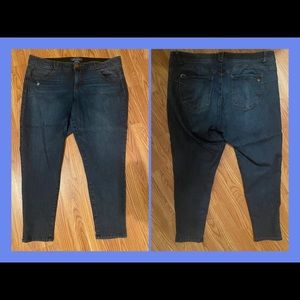 Democracy Medium Wash Stretch Skinny Jeans 20W